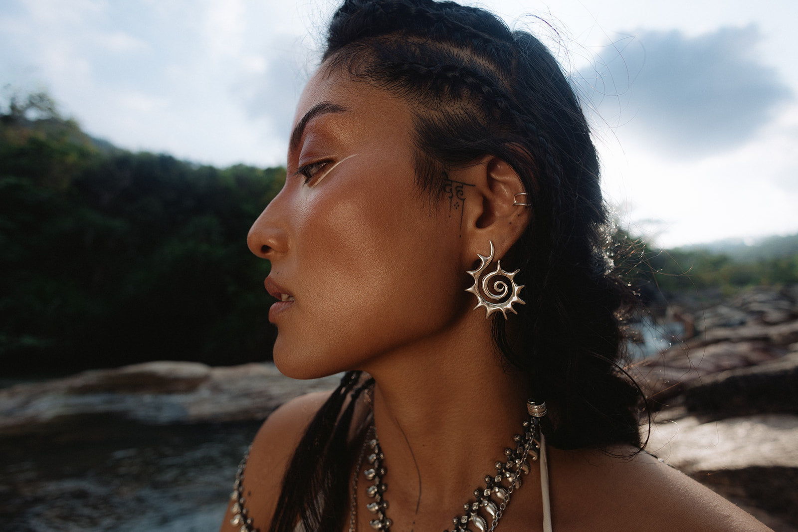 Fractals and Spirals: Science, Symbolism, and Transformation - NOIR KĀLA