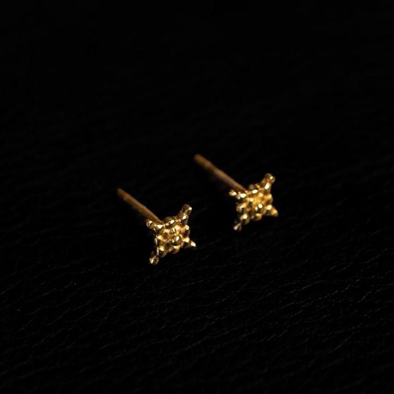 Lucy | Stud Earrings - Gold - NOIR KĀLA
