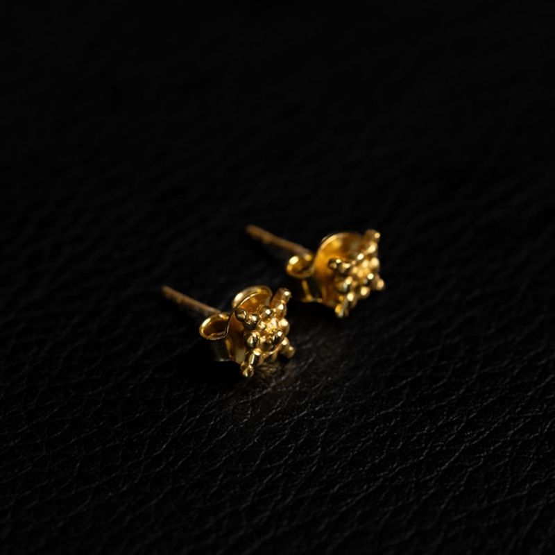 Lucy | Stud Earrings - Gold - NOIR KĀLA