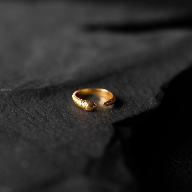 Eternal Return | Bague Serpent - Laiton