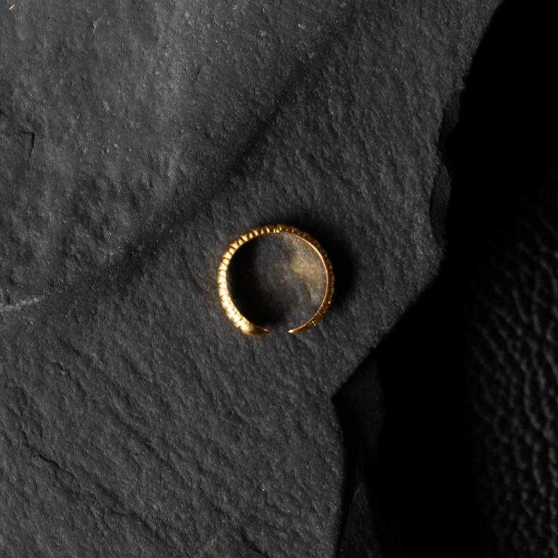 Eternal Return | Bague Serpent - Laiton