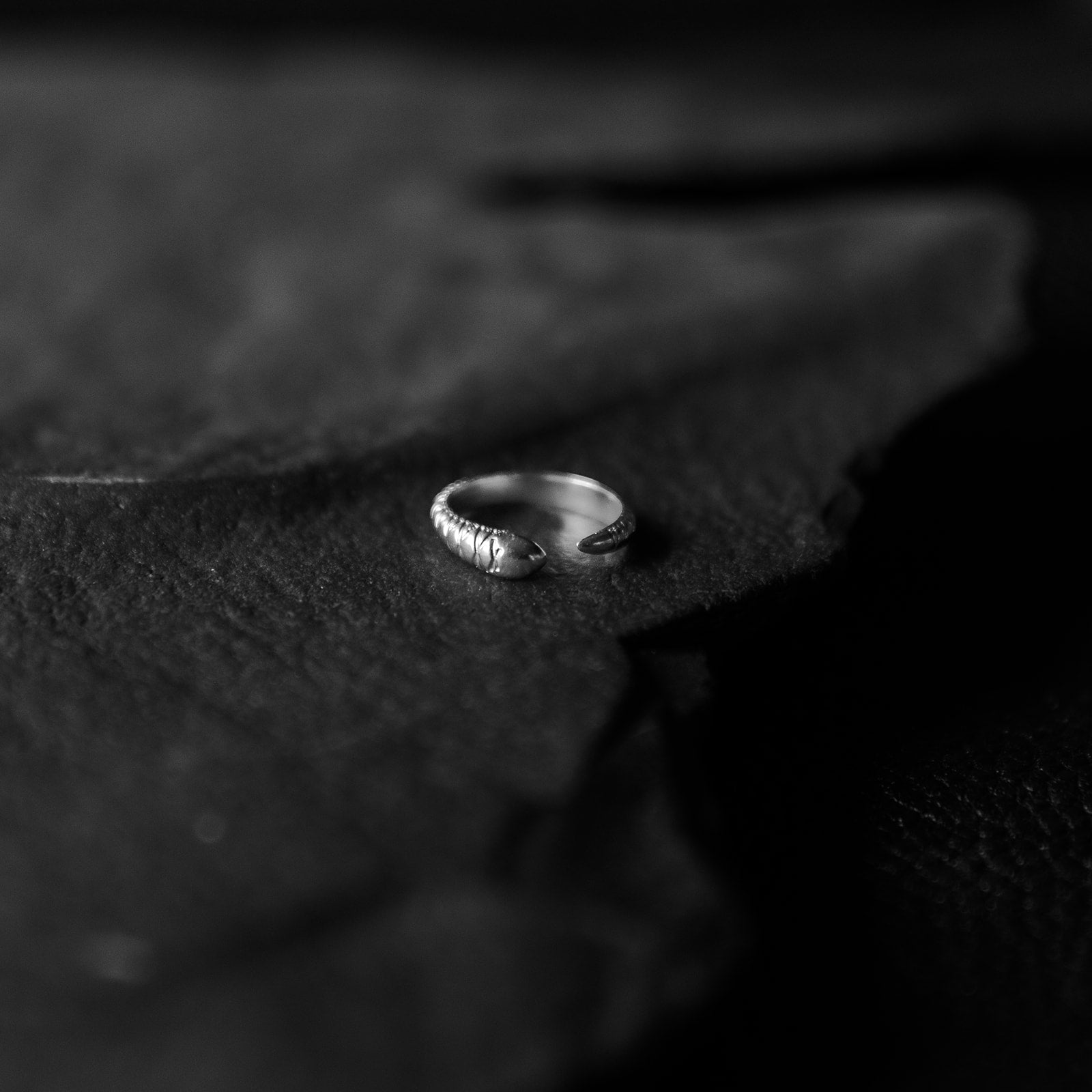 Eternal Return | Bague Serpent