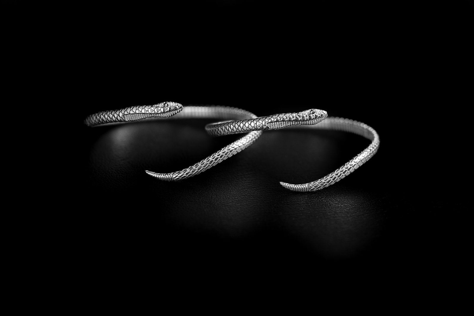 The Collective Unconscious: Why Does the Serpent Return Everywhere?