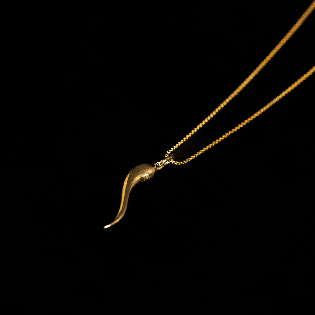 Cornicello | Pendant Necklace - Brass