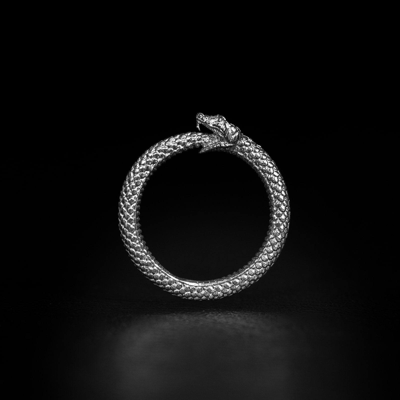 The Ouroboros [S] | Ring - 925 Silver